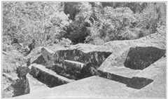 Carved Seats and Platforms of Ñusta Isppana