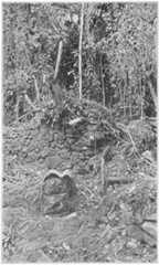 Ruins in the Jungles of Espiritu Pampa