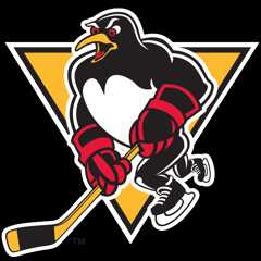 Wilkes-Barre Scranton Penguins