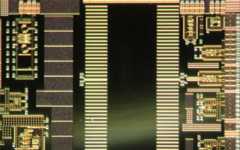 先端物質科学研究科