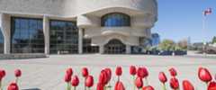 Red tulips in front of the Canadian Museum of History in Ottawa.