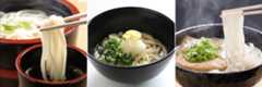 さぬきうどん
