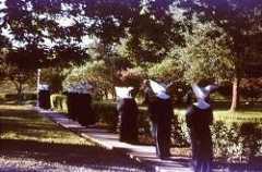 Daughters of Charity