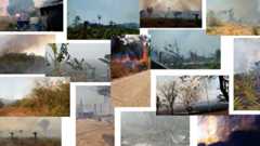 202301ehr_brazil_amazon_collage