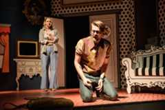 Divadlo J. K. Tyla Plzeň - Fun Home