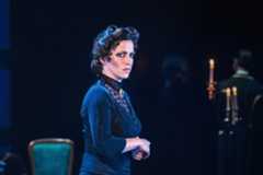 Divadlo J. K. Tyla Plzeň - Rebecca