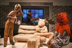 Jihočeské divadlo Č. Budějovice - Perplex