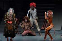 Národní divadlo moravskoslezské - Kočky