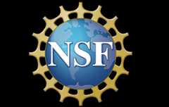 NSF