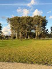 iPhone 17 Pro review camera: 2x