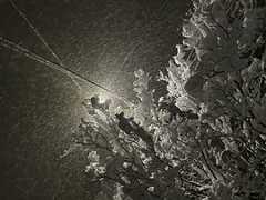 Téli fotópályázat (2024-2025)