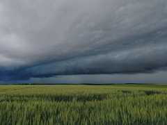 Johanna Pipics fotója