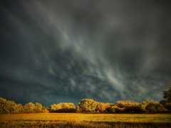 Halloweeni tök színeiben úszott a táj a szellemes mammákkal