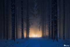 vyharcyclone fotója