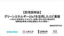  「グリーンエネルギーとIoTを活用したエビ養殖」に関するメディア向け説明会