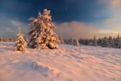 PhotoLive, la météo en photos, en temps réel.