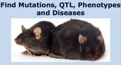 Phenotypes, Alleles & Disease Models Search