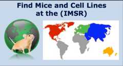 IMSR