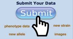 Submit Your Data