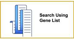 GXD Batch Search Link