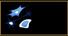 Cell Type Browser Link