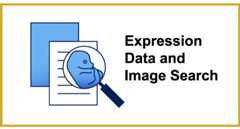 GXD Data Search Link