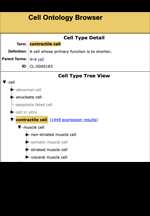 CellOntologyBrowswer
