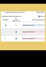 Expression Profile Search Enhanced