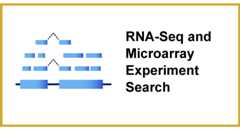 RNA-Seq and Microarray Experiment Search