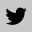 Twitter icon