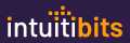Intuitibits Logo