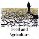 Fixing Food Systems