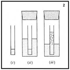 [Fig. 2]