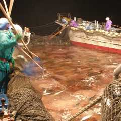 有害生物出現情報（大型クラゲ出現情報）