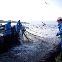 漁獲情報デジタル化推進事業