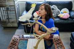 Sharon Kwok Pong, founder of the Hong Kong Parrot Rescue, interacts with "Winnie," a rescued yellow-crested cockatoo.