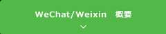 WeChat/Weixin概要