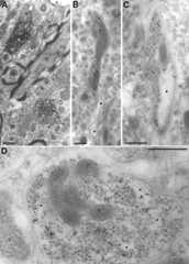 Fig. 11.