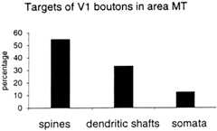Fig. 11.