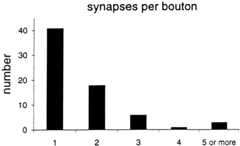 Fig. 12.