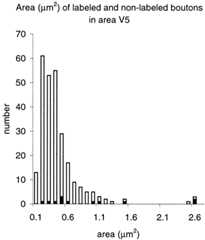 Fig. 13.