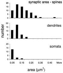 Fig. 9.