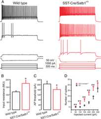 Figure 10.