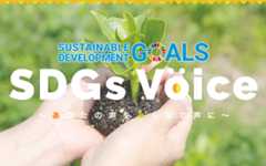 SDGs Voiceはこちら