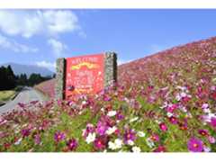 花の駅生駒高原のイメージ