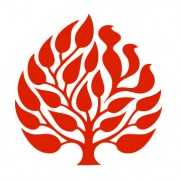 The Jewish Theological Seminary Launches New MA in Ritual Leadership