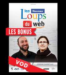 Nouveaux Loups du Web, Les / Les Bonus - Entretien / HD / 48H