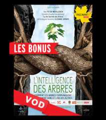 Intelligence des Arbres, L' / Les Bonus du DVD / HD / 48H / VF