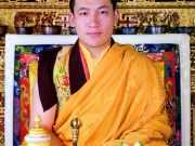 Official Portrait of His Holiness Karmapa Thaye Dorje