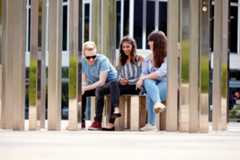 Students sitting at the forest of light